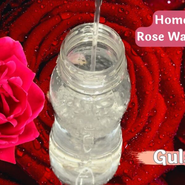 Make Rose water Toner at Home