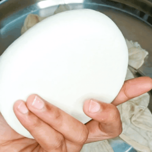 Homemade Paneer