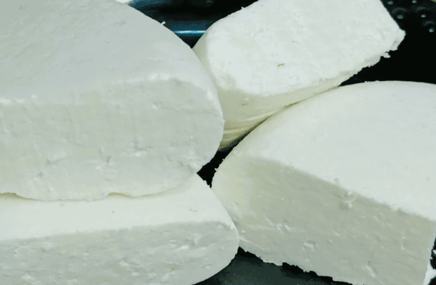 Homemade Paneer