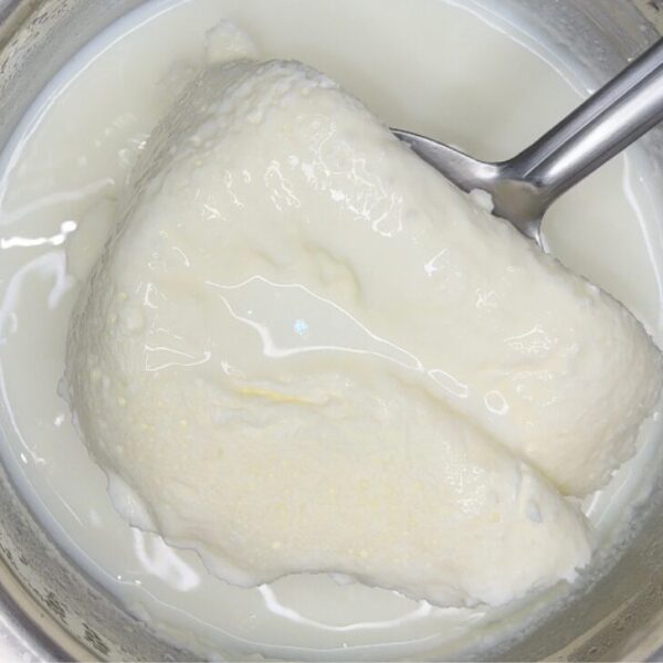 Homemade Thick Malai
