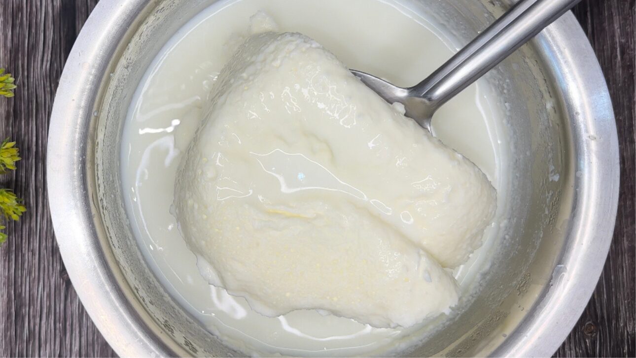 Homemade Thick Malai