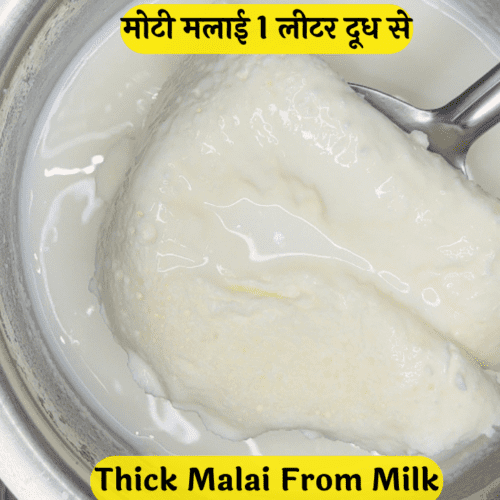 How to make Malai from milk