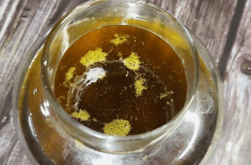 Homemade Onion Hair Oil