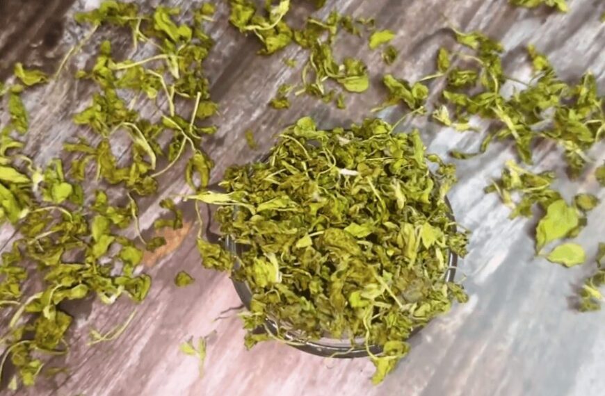 How To Make Kasuri Methi | Dried Fenugreek Leaves