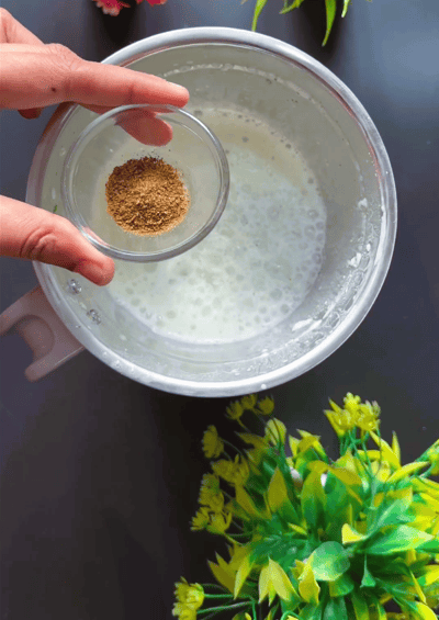roasted cumin powder
