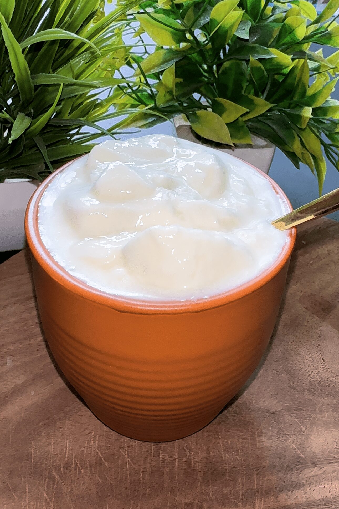 How to make Curd | Dahi Recipe | Homemade Indian Yogurt