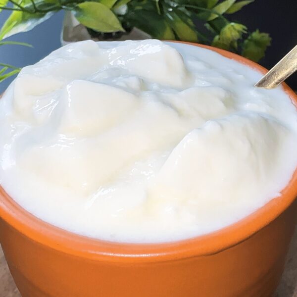 How to make Curd | Dahi Recipe | Homemade Indian Yogurt