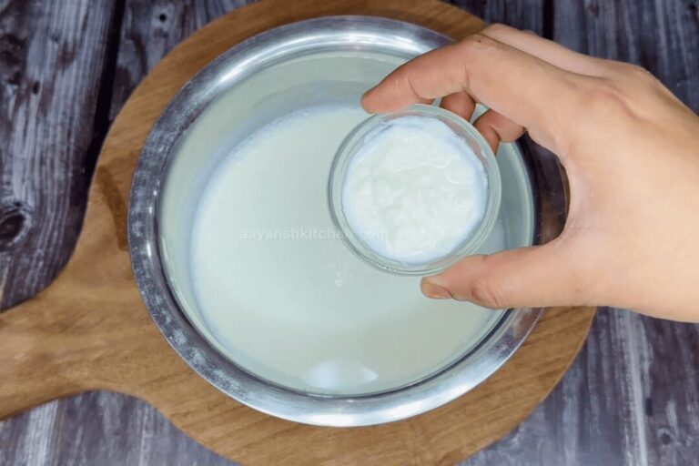 Dhai How to make Curd | Dahi Recipe | Homemade Indian Yogurt - Aayansh Kitchen