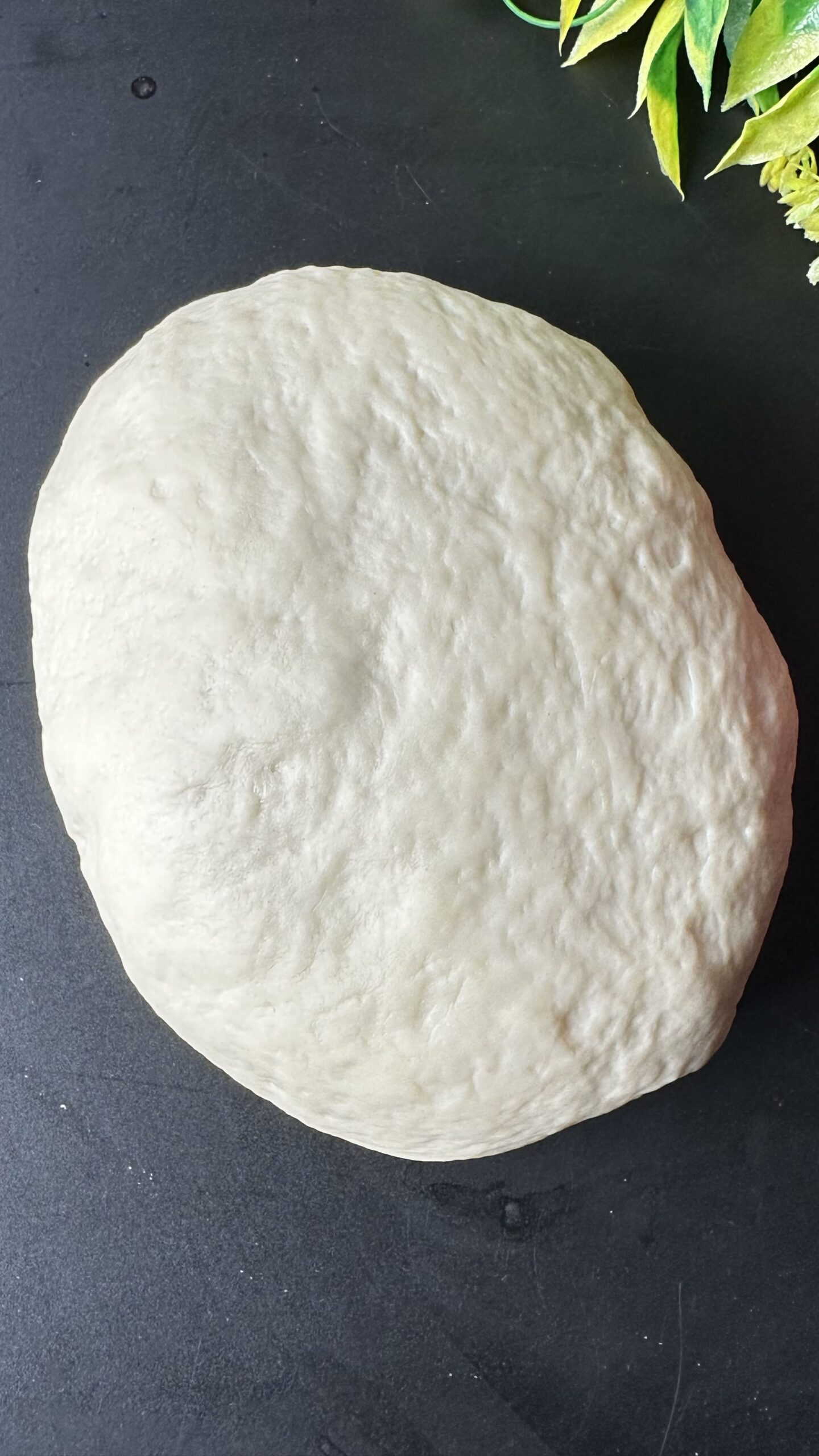 Pizza Dough Recipe | Homemade Pizza Dough