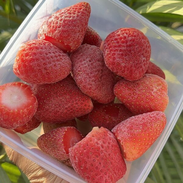 How to store Strawberries in the fridge