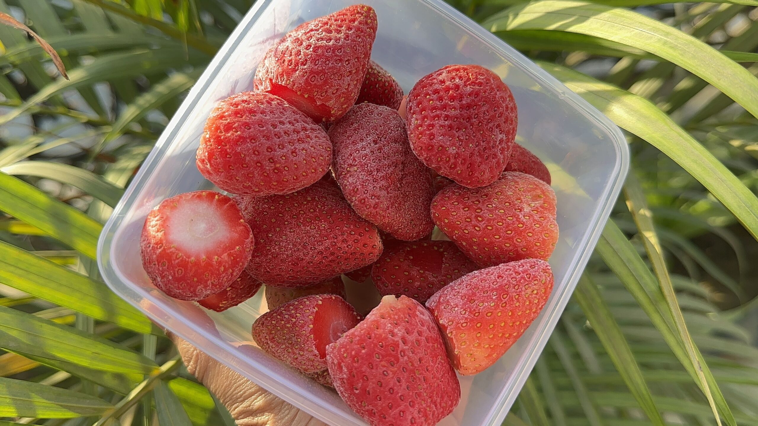 How to store Strawberries in the fridge