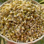 Mung Bean Sprouts | How to Sprout Mung Beans