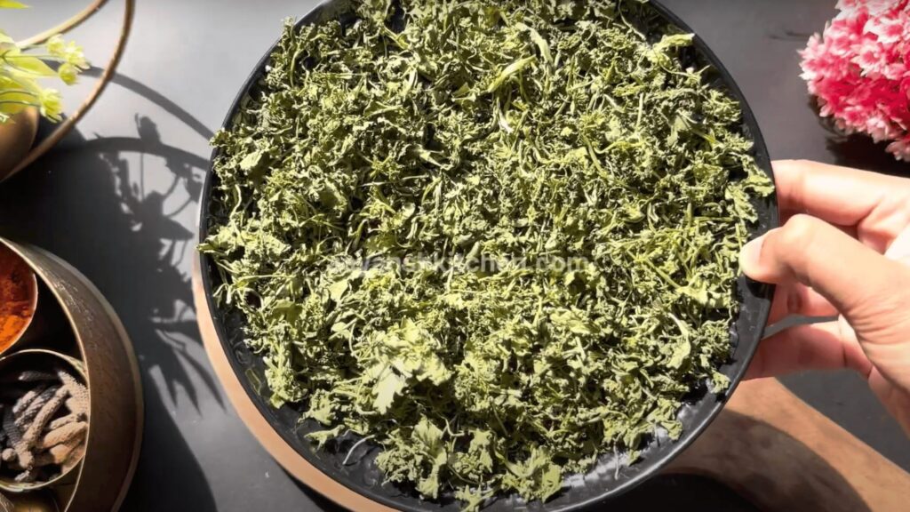 How to store coriander leaves
