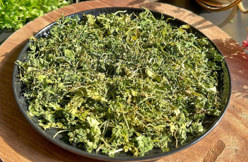 How to store coriander leaves