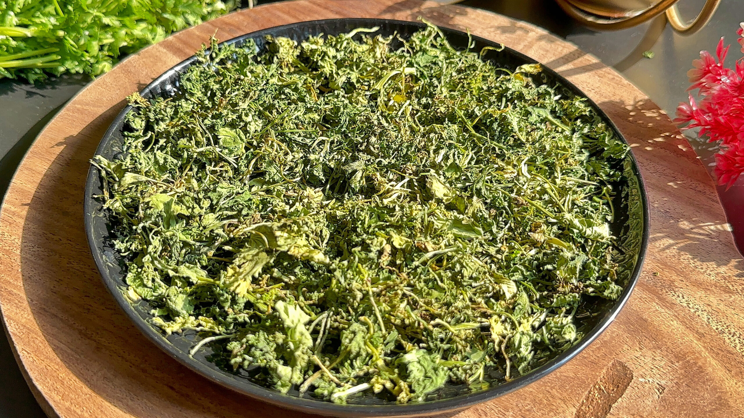 How to store coriander leaves