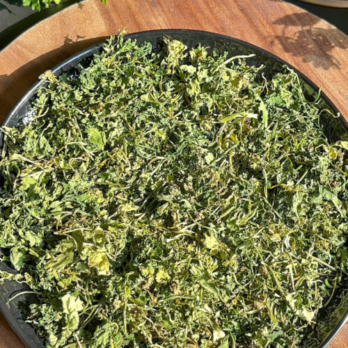 How to store coriander leaves