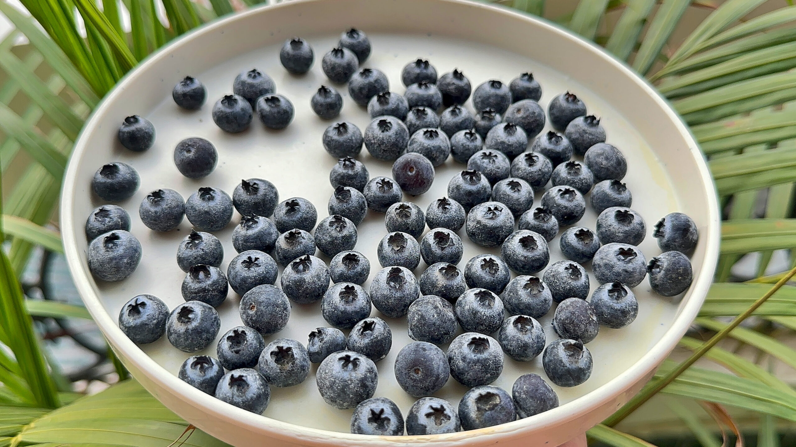 How To Store Fresh Blueberries