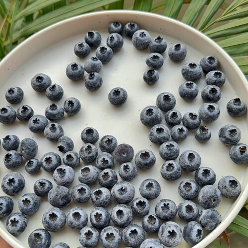 How To Store Fresh Blueberries