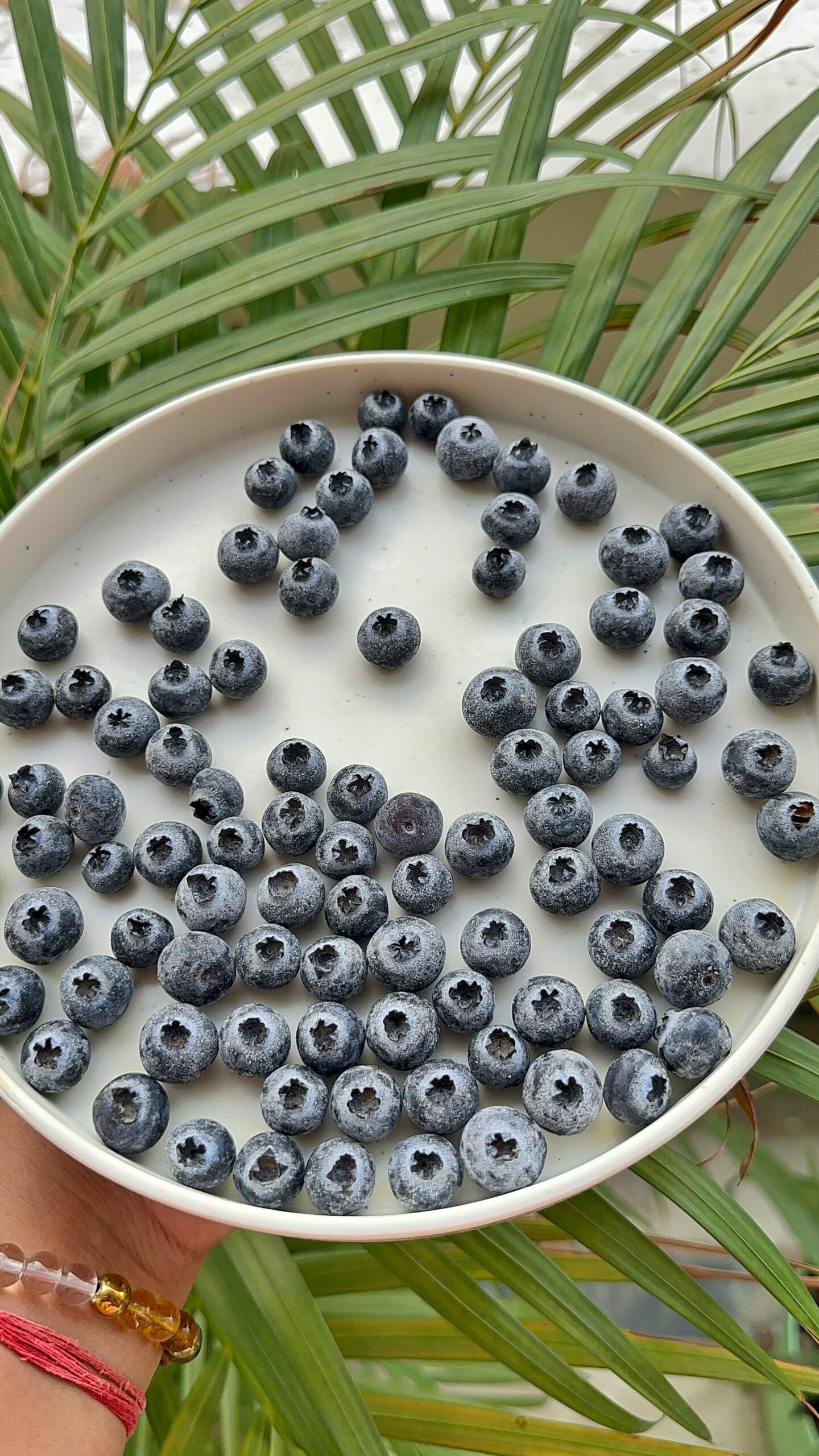 How To Store Fresh Blueberries
