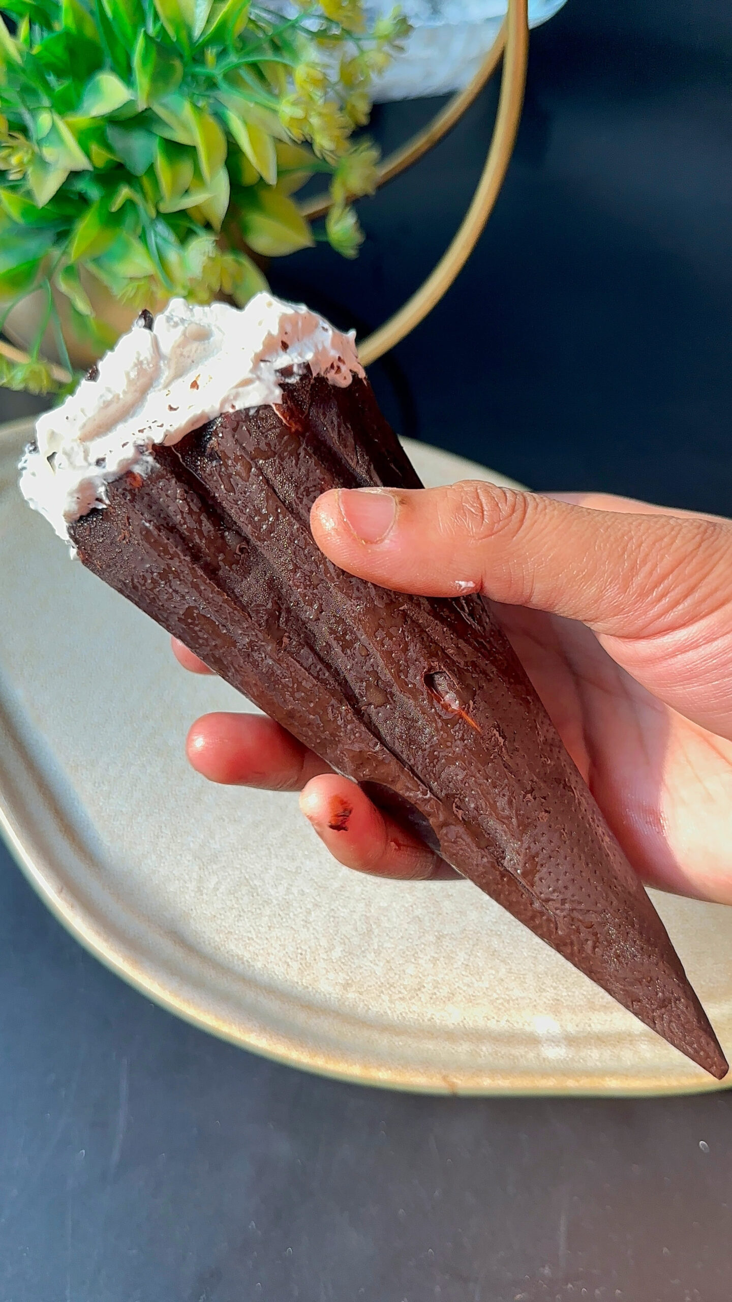 Homemade Choco Vanilla Ice Cream Cone
